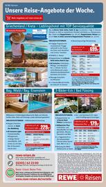 REWE PETZ Prospekt woche 2 Seite 29