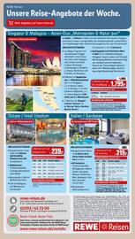 REWE PETZ Prospekt woche 2 Seite 31