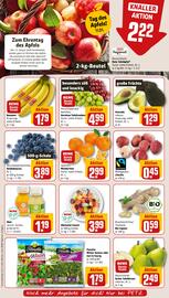 REWE PETZ Prospekt woche 2 Seite 6