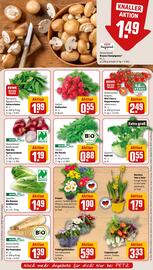 REWE PETZ Prospekt woche 2 Seite 7