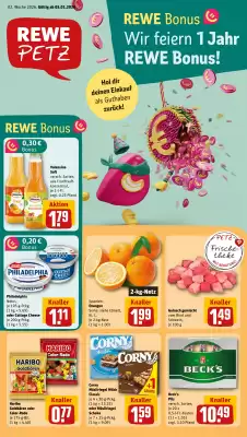REWE PETZ Prospekt (gültig bis 10-01)