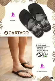 Catálogo Sokso Página 137