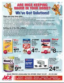 Ace Hardware flyer Page 19