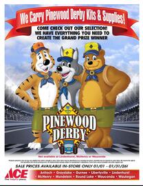 Ace Hardware flyer Page 20