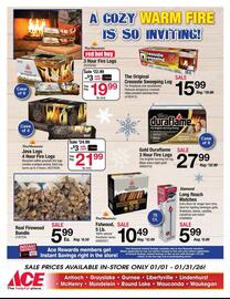 Ace Hardware flyer Page 9