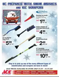 Ace Hardware flyer Page 11