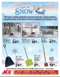 Ace Hardware flyer Page 12