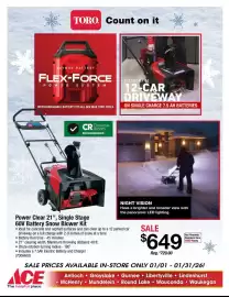 Ace Hardware flyer Page 13