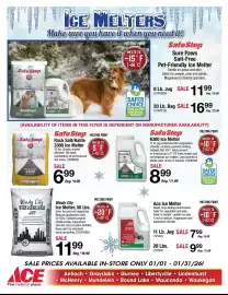 Ace Hardware flyer Page 15