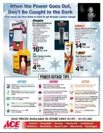 Ace Hardware flyer Page 16