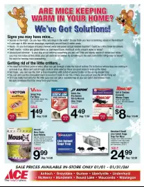 Ace Hardware flyer Page 19