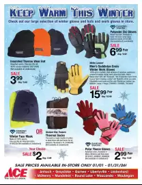 Ace Hardware flyer Page 2