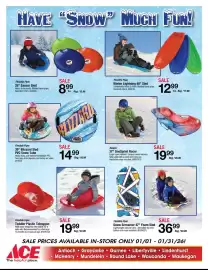 Ace Hardware flyer Page 5