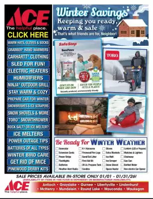 Ace Hardware flyer (valid until 31-01)