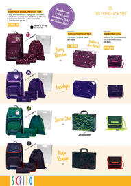 Skribo Flugblatt Seite 10