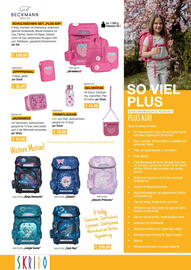 Skribo Flugblatt Seite 12