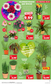 Kaufland Prospekt Seite 9