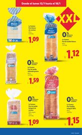 Catálogo Lidl semana 3 Página 13