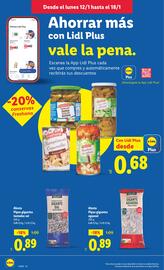 Catálogo Lidl semana 3 Página 16