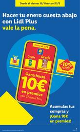 Catálogo Lidl semana 3 Página 17