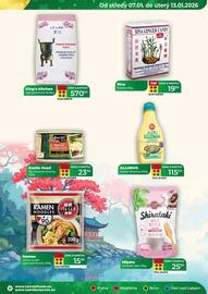 Tamda Foods leták týden 2 Strana 29