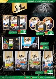 Tamda Foods leták týden 2 Strana 41