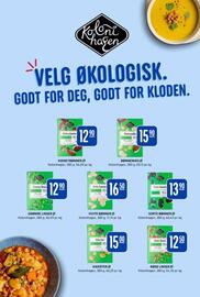 Rema 1000 kundeavis uke 2 Side 16