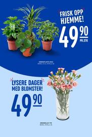 Rema 1000 kundeavis uke 2 Side 22