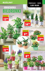 Biedronka gazetka tydzień 2 Strona 17