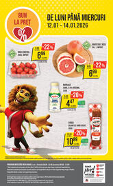 Catalog Mega Image Pagină 13