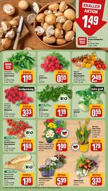 Rewe DE folder week 2 Pagina 7