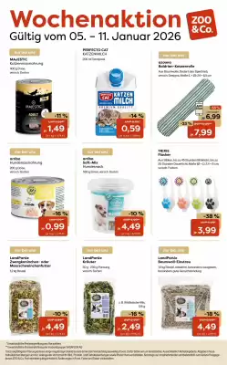 Zoo & Co Prospekt (gültig bis 11-01)