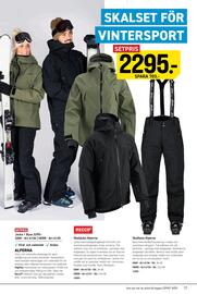 Engelsons katalog Sida 17