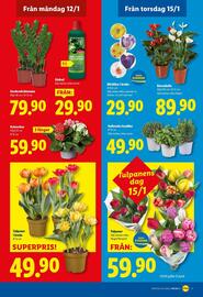 Lidl reklamblad vecka 3 Sida 19