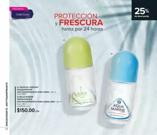 Catálogo Terramar Brands Página 24
