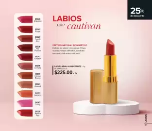 Catálogo Terramar Brands Página 33