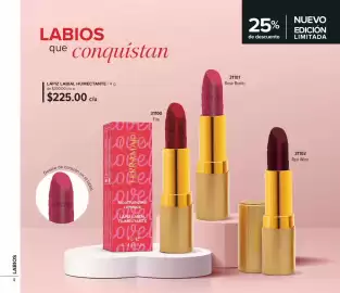 Catálogo Terramar Brands Página 4