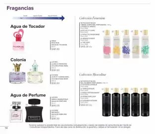 Catálogo Terramar Brands Página 50