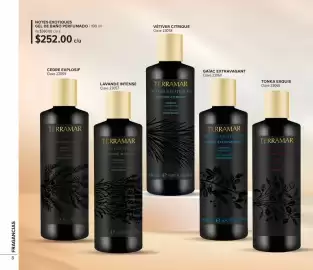 Catálogo Terramar Brands Página 8