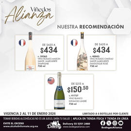 Folleto Bodegas Alianza Página 3