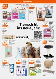 Müller Flugblatt woche 2 Seite 23