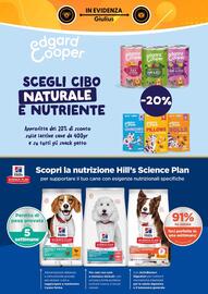 Volantino Giulius Pagina 2