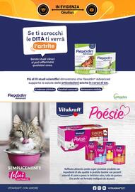 Volantino Giulius Pagina 3