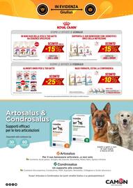 Volantino Giulius Pagina 6