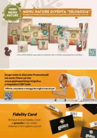 Volantino Giulius Pagina 12