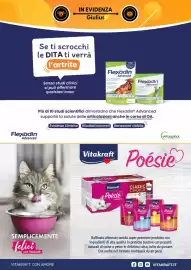 Volantino Giulius Pagina 3