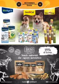 Volantino Giulius Pagina 4