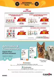 Volantino Giulius Pagina 6