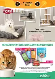 Volantino Giulius Pagina 7