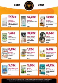 Volantino Giulius Pagina 8